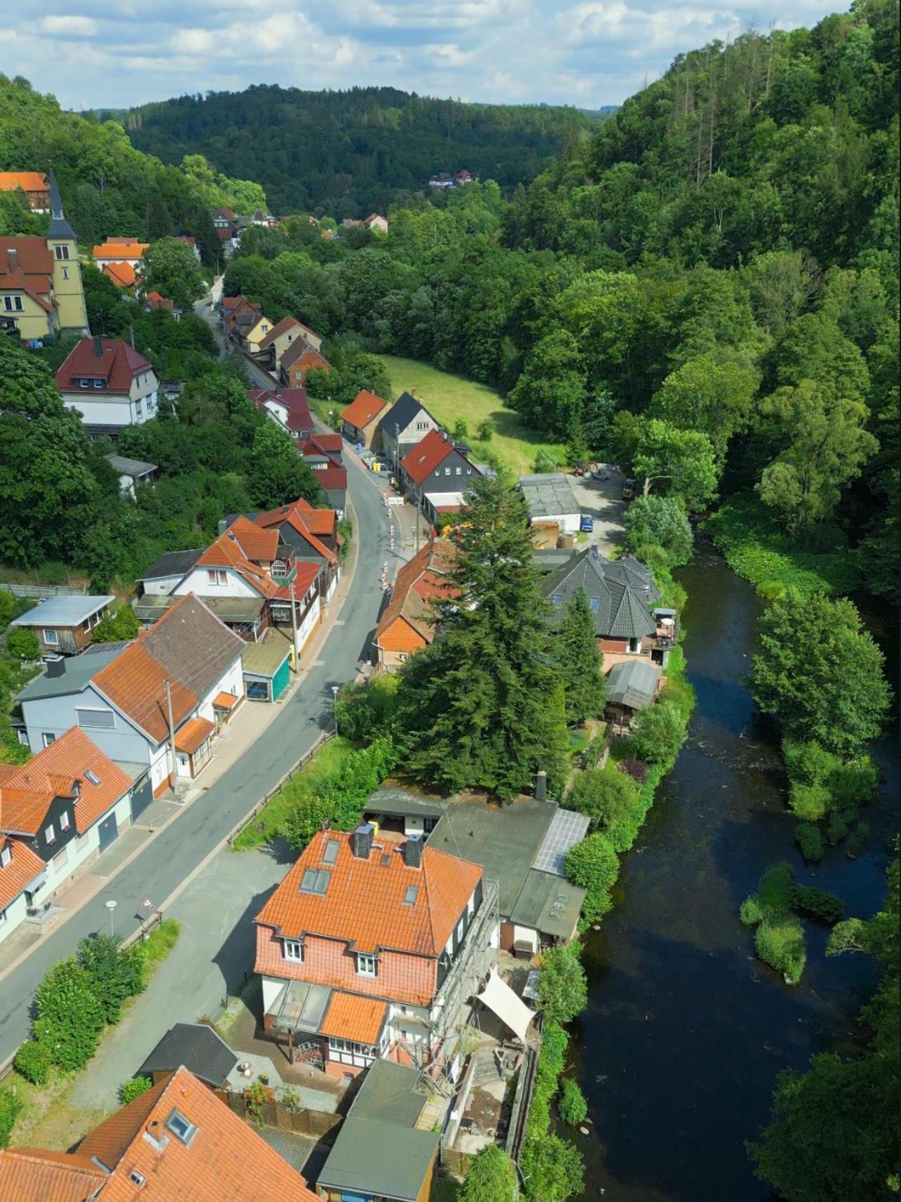 ターレ Haus Ludwig - Saniertes Fachwerkhaus Im Harz - 12 Personenヴィラ エクステリア 写真